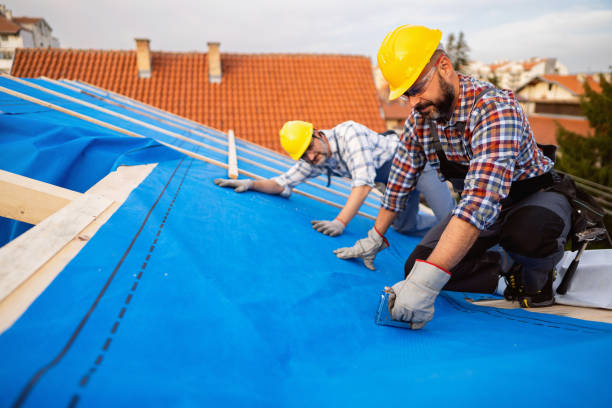 Best Flat Roof Repair Services  in Eagle, CO